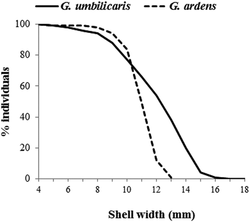 Figure 6. Gibbula umbilicaris and G. ardens survivorship curves, derived from size-frequency distribution of measured shells collected at all depths in 1 year of sampling (July 1981–June 1982).