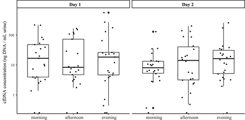 Figure 1. Logarithmic representation of cfDNA concentrations (ng/mL urine) measured at different collection time points, illustrating the median and IQR of each collection time point. Outliers are indicated by bold circles located outside the whiskers of the boxplot. No significant differences were found within or between the days. cfDNA = cell-free DNA; IQR = interquartile range.