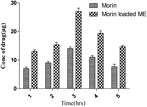 Figure 10. Concentration of morin hydrate in brain versus time for plain morin hydrate (IN) and morin hydrate loaded microemulsion (IN).