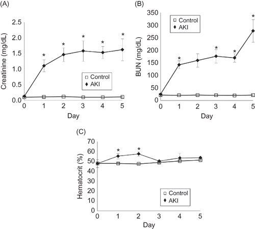 Figure 2. Changes of plasma creatinine (A), blood urea nitrogen (BUN) (B) and hematocrit (C) in AKI mice and control mice. The plasma creatinine and BUN significantly increased in AKI mice on day 1 after ingesting 0.75% adenine (n = 6 at each time point). Hematocrit also significantly increased in the mice on day 1 and day 2 after 0.75% adenine ingestion (n = 6 at each time point). Notes: Values are expressed as the mean ± SE. *p < 0.05.