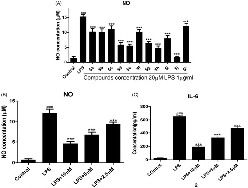 Figure 1. Initial evaluation release of NO and IL-6.