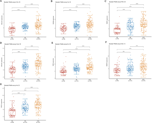 Figure 3 Analysis of mRNA expression levels of hub genes in NE, BE and EAC. Based on the RNA-seq data in the GEO database, the mRNA expression levels of COL1A1 (A), TGFBI (B), MMP1 (C), COL4A1 (D), NID2 (E), MMP12 (F), CXCL1 (G) in 94 NE tissues, 113 BE tissues and 147 EAC tissues were analyzed. ***(P < 0.001) or ****(P < 0.0001) represents statistical significance.