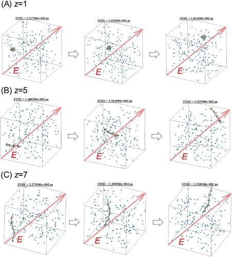 Figure 2. Position of z charged PEG3,538 ion and nitrogen gas molecules against time in the simulation cell, (A) z = 1 (B) z = 5, (C) z = 7.