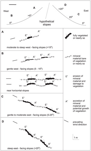 FIGURE 5. Cross sections of terraced hillsides showing terrace morphologies and interrelationships.