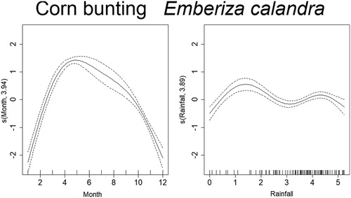 Figure 8. Non-linear factors affecting the temporal distribution of roadkills for Corn Bunting. Fitted smooth terms (written as s(name of variable, number of degrees of freedom)) for Corn Bunting mortality (solid lines) and confidence intervals (dashed lines); left panel: month, right panel: rainfall.