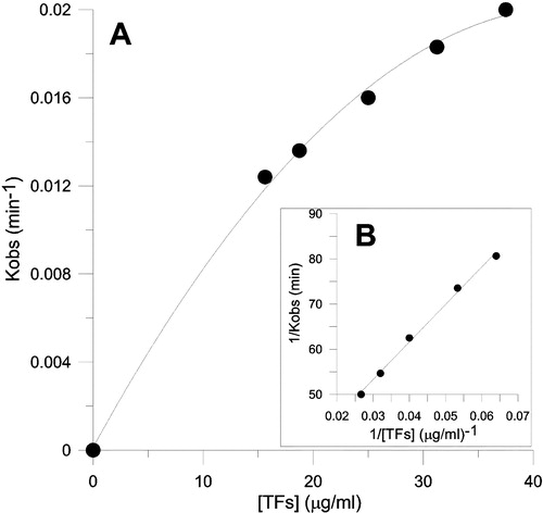 Figure 8 The time course for inhibition of FAS by different concentrations of TFs. The concentration of FAS in the inactivation system was 2.0 μM. (A) Observed first-order rate constants for different concentrations of TFs. (B) Plot of 1/Kobs versus 1/[TFs].
