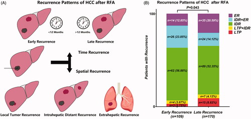 Figure 5. Recurrence patterns of HCC after RFA (A); Distribution of various types of recurrence over the follow-up period (B).