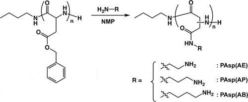 Scheme 2. Synthesis of PAsp(AE), PAsp(AP), and PAsp(AB) by aminolysis of PBLA with corresponding diamino compounds.