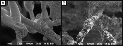 Figure 5 SEM images of AEI collection media: (a) 230× magnification at the center of the piezo-electric sound source prior to collection of KCl, (b) 230× magnification at the same location after 8 h of PM collection.