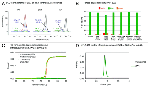 Figure 2.(A) Differential scanning calorimetry (DSC) of ZW1 in comparison to wild type Fc and the Knob-into-hole (KiH) control. The melting temperature of the CH2 and CH3 domains are highlighted in green and blue respectively. (B) Forced degradation study of purified ZW1. Presence of high molecular weight (HMW) and low molecular weight (LMW) contaminants was determined by HPL-SEC. (C) Pre-formulation aggregation / turbidity screening of ZW1. The susceptibility of ZW1 to form visibly aggregates (precipitate) was evaluated under different buffer conditions by thermal melting and detection of the sample turbidity (see Supplementary Material and Methods for evaluation of pH conditions). (D) Analysis of purified ZW1 and trastuzumab at 100mg/ml by size exclusion chromatography.