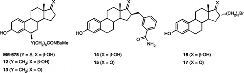 Figure 4.  A selection of our previously reported inhibitors of 17β-HSD1.