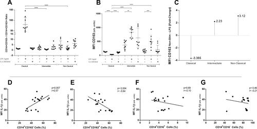 Figure 3 CD163 analysis in each subset and correlations of CD163 and CD16 defined subpopulations with intracellular IL-1β. CD14+CD163-/CD14+CD163+ ratio was graphed in each traditional subset. Only in classical monocytes stimulated with LPS, CD163-/CD163+ ratio raises (A) (****p≤0.0001). CD163 median fluorescence intensity changes significantly after LPS stimulation in classical, intermediate, and non-classical monocytes (B) (****p≤0.0001; ***p≤0.003; **p≤0.006). Folds of change of CD163 fluorescence intensity after LPS compared to non-stimulated condition. Classical monocytes diminish its mean MFI CD163 values by 3.365 times (C). In (D and E), intracellular IL-1β correlates positively and significantly with CD163- cell percentage and negatively with CD163+. In (F and G), IL-1β does not correlate with CD16+ and CD16- cells percentages. BD LSRFortessa cytometer. One-way ANOVA test used in panels (A–C). Spearman rank correlation test (n=18) in panels (D–G).