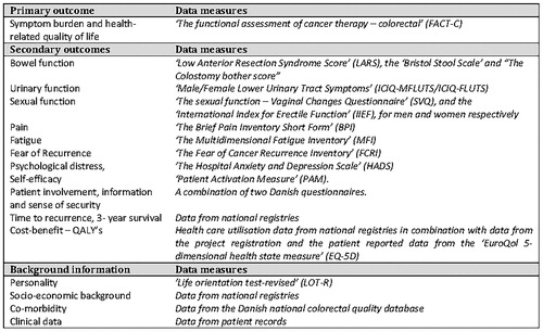 Figure 2. Measures for outcomes and background information.