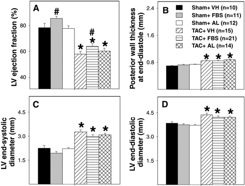 FIGURE 4 Effects of 3-week febuxostat (FBS) or allopurinol (AL) treatment on LV function and dimensions. Data are for LV ejection fraction (A), LV end-systolic wall thickness (B), LV end-systolic diameter (C), and LV end-diastolic diameter (D). Treatment was started 7 days following sham or TAC procedures and continued for 3 weeks. *p < 0.05 as compared with the corresponding sham group. # p < 0.05 as compare with the corresponding vehicle group. LV = left ventricular. VH = vehicle. TAC = transverse aortic constriction.