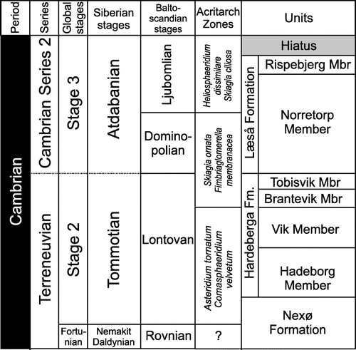 Figure 2. Correlation between Siberian and Baltoscandian stages, acritarch zones and lithostratigraphic units on Bornholm. Modified from Moczydłowska & Vidal (Citation1992) and Nielsen & Schovsbo (Citation2011).