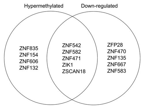 Figure 3. Venn diagram of ZNF genes in ZNF gene cluster 19.13 that are hypermethylated (i.e., contain a hyper DMR) or are downregulated.