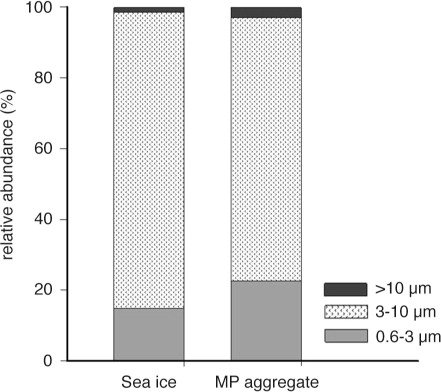 Fig. 2  Histogram of the protist cell size distribution in the sea-ice bottom layer and melt-pond aggregate obtained by flow cytometry.