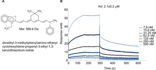 Figure 1 (A) Chemical structure, molecular weight and nomenclature of the 5107930 compound. (B) Binding kinetics of 5107930 to Lipid II as determined by surface plasmon resonance.Abbreviations: Kd, binding affinity; Mw, molecular weight.