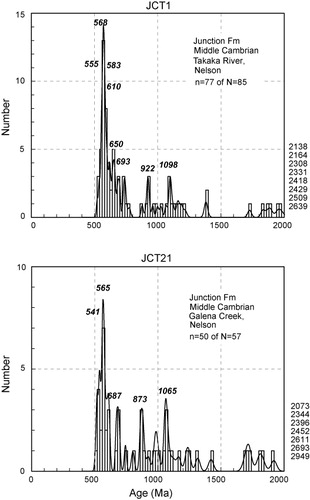Figure 9 Probability density/histogram diagrams of 206Pb/238U detrital zircon ages (0–2000 Ma format) in sandstones from Junction Formation (Middle Cambrian, uncertain terrane association), NW Nelson. Ages > 2000 Ma are stacked at right margin. Ages of significant age components are shown in italic numerals. N, set total; n, subset displayed.