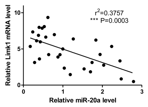 Figure 7. The correlation of miR-20a expression and LIMK1 mRNA level was analyzed. *P < 0.05, **P < 0.01, ***P < 0.001.