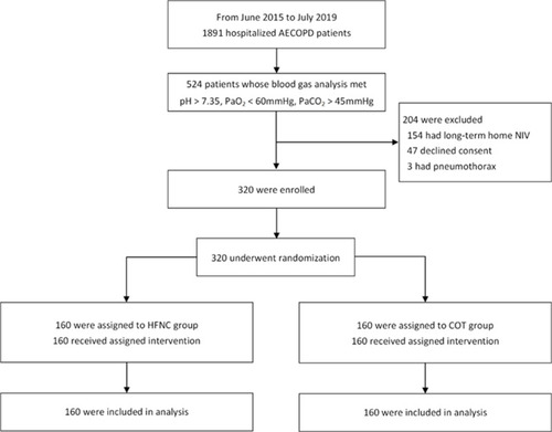 Figure 1 Flow of patients with acute exacerbation of chronic obstructive pulmonary disease through the trial.