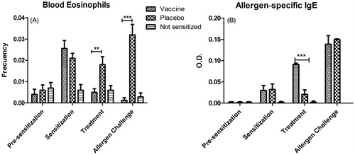 Figure 5. Immunotoxic effect of repeat-dose administration of vaccine candidate to allergen-sensitized mice. (A) Blood eosinophil levels. (B) Allergen-specific IgE levels in serum. Levels of IgE in non-sensitized mice were undetectable at all timepoints. Values shown as mean ± SD from n = 10/group. In (A), significant differences were noted between the vaccine and placebo groups, both, after treatment (p < 0.01) and allergen challenge (p < 0.001, 2-way ANOVA, Bonferroni test). Whereas in (B) the difference between the vaccine and placebo groups was significant only after treatment (p < 0.001), but not after challenge.