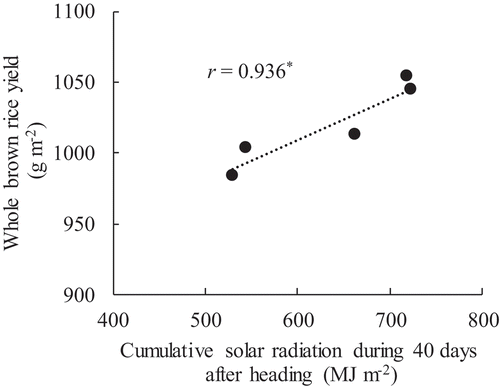Figure 1. Relationship between cumulative solar radiation during 40 days after heading and whole brown rice yield of Oonari. *p < 0.05.