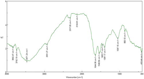 Figure 7. IR spectrum of Mn-treated Acinetobacter sp.