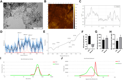 Figure 1 Physicochemical characterization of diamond nanoparticles. (A) Transmission electron microscopy image of diamond nanoparticles. (B) Atomic force microscopy image and (C) a topography model of the diamond nanoparticles on a silicon wafer. (D) Raman spectrum of diamond nanoparticles. (E) FTIR spectrum of diamond nanoparticles. (F) Mean zeta potential of diamond nanoparticles after 24 hours incubation in water (“H2O”) and full Human Large Vessel Endothelial Cell Basal Medium (“Medium”). Mean hydrodynamic size (G) and polydispersity index (H) of diamond nanoparticles after 24 hours incubation in H2O and medium. Statistical significance is indicated with different superscripts (P < 0.05; n = 9 with at least 15 individual replicates). Representative hydrodynamic size distribution of diamond nanoparticles after 24 hours incubation in H2O (I) and medium (J). Representative zeta potential distribution of diamond nanoparticles after 24 hours incubation in H2O and medium.