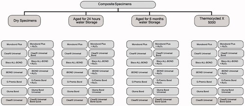 Figure 1. Flow-chart showing experimental sequence and allocation of groups regarding combinations of the adhesives and surface treatments.