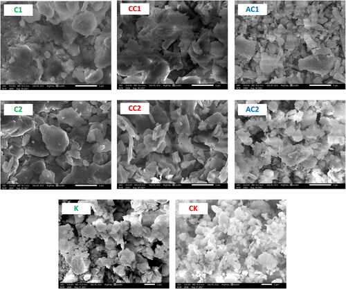 Figure 8. SEM micrographs of clay (C1, C2), calcined clay (CC1, CC2), acid treated clay (AC1, AC2), kaolin (K) and calcined kaolin (CK).