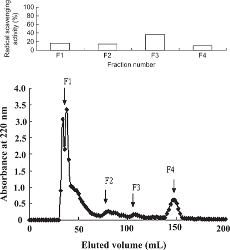 Figure 7 The Sephadex G-15 chromatographic profiles of the fraction eluted with 75% ethanol and their DPPH radical scavenging effects.
