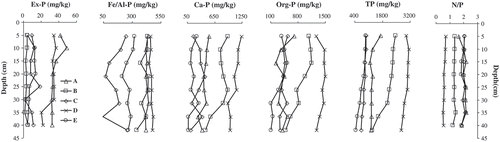 Figure 2. Vertical variations of Ex-P, Fe/Al-P, Ca-P, Org-P, TP and N/P in core sediments (different x-axis scales).