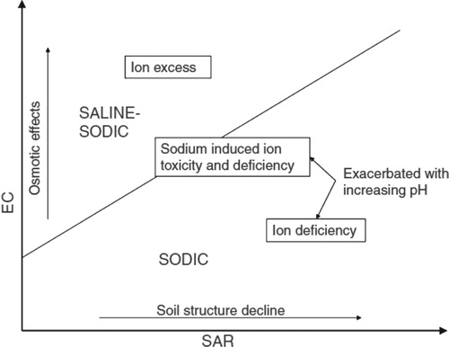 Figure 1. Relationship between electrical conductivity (EC) and sodium adsorption ratio (SAR) (Naidu and Rengasamy Citation1993).