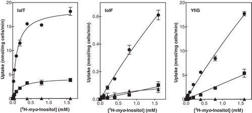 Figure 4. Concentration-dependence of initial-rate 3H-myo-inositol uptake into energized E. coli cells. Michaelis-Menten plots for the uptake of [2-3H]-myo-inositol after 15 seconds into BL21(DE3) cells containing the empty plasmid pTTQ18 (control, ▴) or the pTTQ18 plasmid with the gene inserts for expressing IolT(His6), IolF(His6) or YfiG(His6) from cultures that were uninduced (▪) or induced (•) with 0.5 mM IPTG for 1 hour, washed and suspended to an A680 of 2.0, energized in the presence of 20 mM glycerol for 3 minutes, then incubated for 15 seconds with [2-3H]-myo-inositol at a range of concentrations (0.025, 0.05, 0.1, 0.2, 0.4, 0.8 and 1.6 mM). The data points are the average of triplicate measurements.