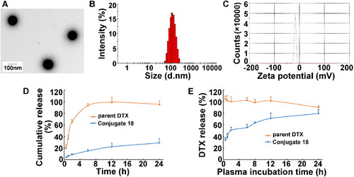 Figure 2. Characterization of the conjugate dextran–DHA–DTX 18. (A) TEM images of the conjugate 18 (1 mg/mL). (B) Size distribution of the conjugate 18. (C) Surface charge of the conjugate 18 (1 mg/mL). (D) DTX release from the conjugate 18 in PBS solution (pH7.4). (E) DTX release from the conjugate 18 in rat plasma. Data were presented as mean ± SD (n = 3).