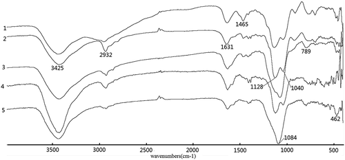 Figure 2. FTIR spectra of DETA-series samples (1) DETA-BPS, (2) C-DETA, (3) C-DETA/T-1, (4) P-DETA and (5) P-DETA/T-1.