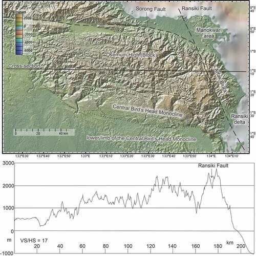 Figure 3. Topography of the Kemum High, Digital Elevation Model and topographic cross-section. Figure base made with GeoMapApp (www.geomapapp.org), CC by (Ryan et al. Citation2009).