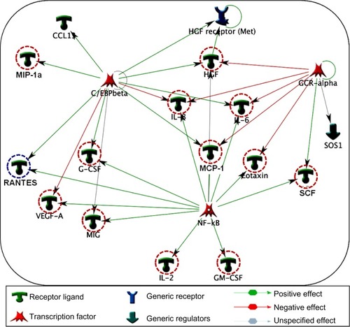 Figure 5 Interpathway interactions identify cytokine linking network in COPD. Diagram illustrates the network topology, in which individual annotated hubs (GCR-α, nuclear factor kappa-light-chain-enhancer of activated B cells, and C/EBP-β) regulate the thirteen major cytokines. Note that eotaxin, hepatocyte growth factor, interleukin (IL)-6 and stem cell factor interconnecting nodes are induced either by two or three hubs. Red-dotted circles flag the upregulation, whereas blue dotted circles represent the downregulation of these cytokines in COPD. Green arrows show the positive effects, whereas red arrows represent negative effects.