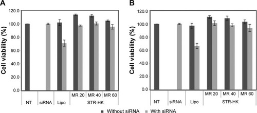 Figure 7 Cell viability results of PC-3 cells treated with peptide–siRNA complexes (siRNA concentration: 100 nM) at different molar ratios or peptide alone at the corresponding molar ratio.Notes: (A) Cell viability after 24 hours treatment. (B) Cell viability after 48 hours treatment. Results are expressed as mean ± standard deviation (n=3).Abbreviations: siRNA, small interfering RNA; NT, non-treated; Lipo, Lipofectamine 2000; MR, peptide/siRNA molar ratio.