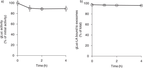 Fig. 2.  Stability of exosome labelling by gLuc-LA in serum. (a) Time-course of stability of gLuc activity of gLuc-LA-labelled B16BL6 exosomes at 37°C in 20% FBS/PBS buffer. The initial gLuc activity was about 106 RLU/s/10 µL. (b) Time-course of exosome labelling stability of gLuc-LA at 37°C in 20% FBS/PBS buffer of 4 samples.