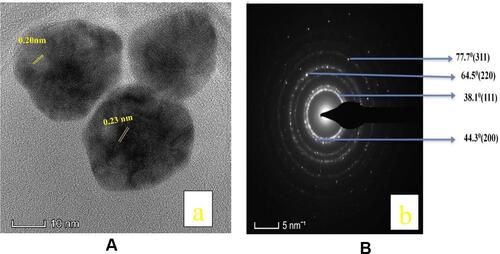 Figure 6 (A) HRTEM image of PEGylated bimetallic Au–Ag NPs, together with lattice spacing of Au–Ag NPs nanocrystal. (B) SAED patterns of PEGylated bimetallic Au–Ag NP