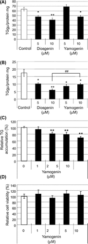 Fig. 2. TG accumulation was suppressed by yamogenin in mouse primary and HepG2 hepatocytes.Notes: The effects of yamogenin on TG accumulation in mouse primary (A) and HepG2 (B and C) hepatocytes were examined. Cells were treated with diosgenin or yamogenin at the indicated concentrations for 24 h. Cell viability was examined using the yamogenin-treated HepG2 hepatocytes (D). The values are means ± S.E.M. of four samples in the measurement of TG accumulation or cell viability. *p < 0.05 and **p < 0.01 compared with each vehicle control and ##p < 0.01 compared between the indicated groups.