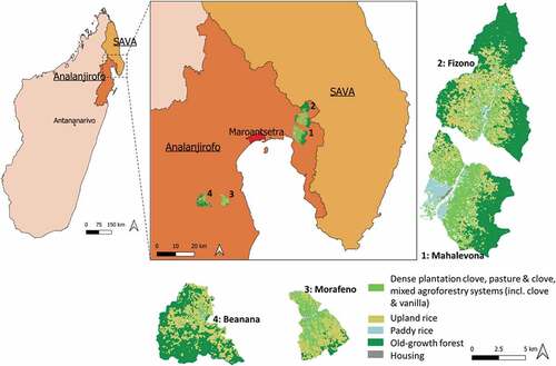 Figure 1. Case study villages in northeastern Madagascar with related land uses. Villages (Fokontany): Mahalevona, Fizono, Morafeno, Beanana. Land use in 2017 (referred as t0 in the model) based on Llopis et al. (Citation2019). All land-use categories related to agroforestry systems merged into one category. Underlined names are regions of the Malagasy administrative system.