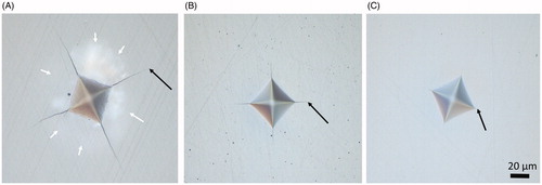 Figure 5. Examples of the variation of the damage zone around the indents as seen in the light microscope. (A) High Yttria content, (B) moderate yttria content, and (C) low yttria content. The arrows indicate end of crack.