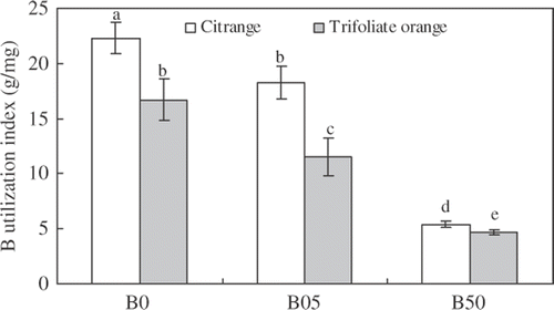 Figure 5. Boron utilization index (in g mg−1) of “Newhall” navel orange plants grafted on trifoliate orange and citrange with different boron treatments ([B0 (no boron), B05 (control treatment) and B50 (excessive boron)]. Values are means of three replicates ± standard error. Bars with different letters are significantly different at P < 0.05.