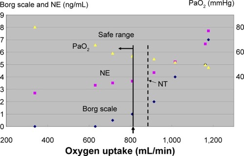 Figure 2 Determination of a safe range using partial pressure of arterial oxygen (PaO2), NE, and the Borg scale during CPET.