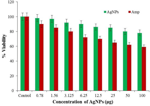Figure 9. Comparison of the cytotoxic effects of phyto-fabricated AgNPs and Amp (positive control) against HEPK cell line (Values were expressed as mean ± SD of the experiment performed in triplicate. Statistical significance was considered when p < 0.05).