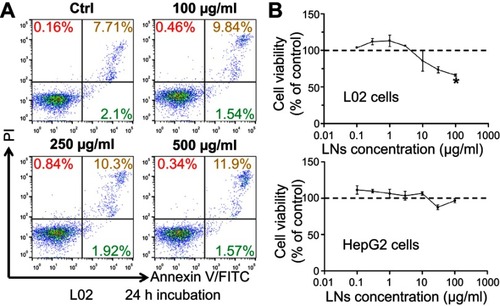 Figure S1 LNs did not cause obvious damage on hepatocytes. (A) Apoptotic detection of L02 cells treated with various concentrations of LNs. (B) MTT analysis of L02 and HepG-2 cells treated with LNs.