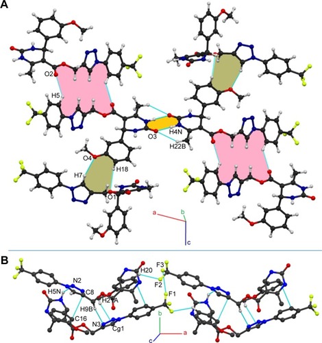 Figure 3 Packing network of compound 7g (A) down the ac plane associated with N-H…O and CH…O dimers (noninteracting H-atoms have been removed for clarity); (B) molecules forming centrosymmetric dimers via N-H…N, C-H…N, C-H…π (Cg1) hydrogen bonds and π…π stacking connected down the ab plane through weak C-H…F hydrogen bond and F…F interactions.
